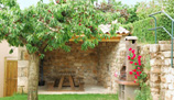 Le coin barbecue